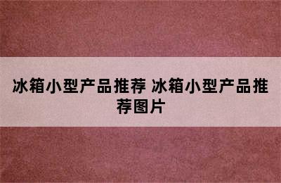 冰箱小型产品推荐 冰箱小型产品推荐图片